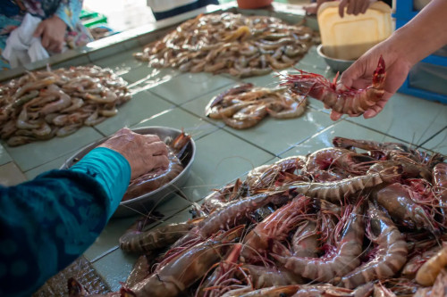 Tips Memilih Udang Segar Saat Berbelanja di Pasar Tradisional cover